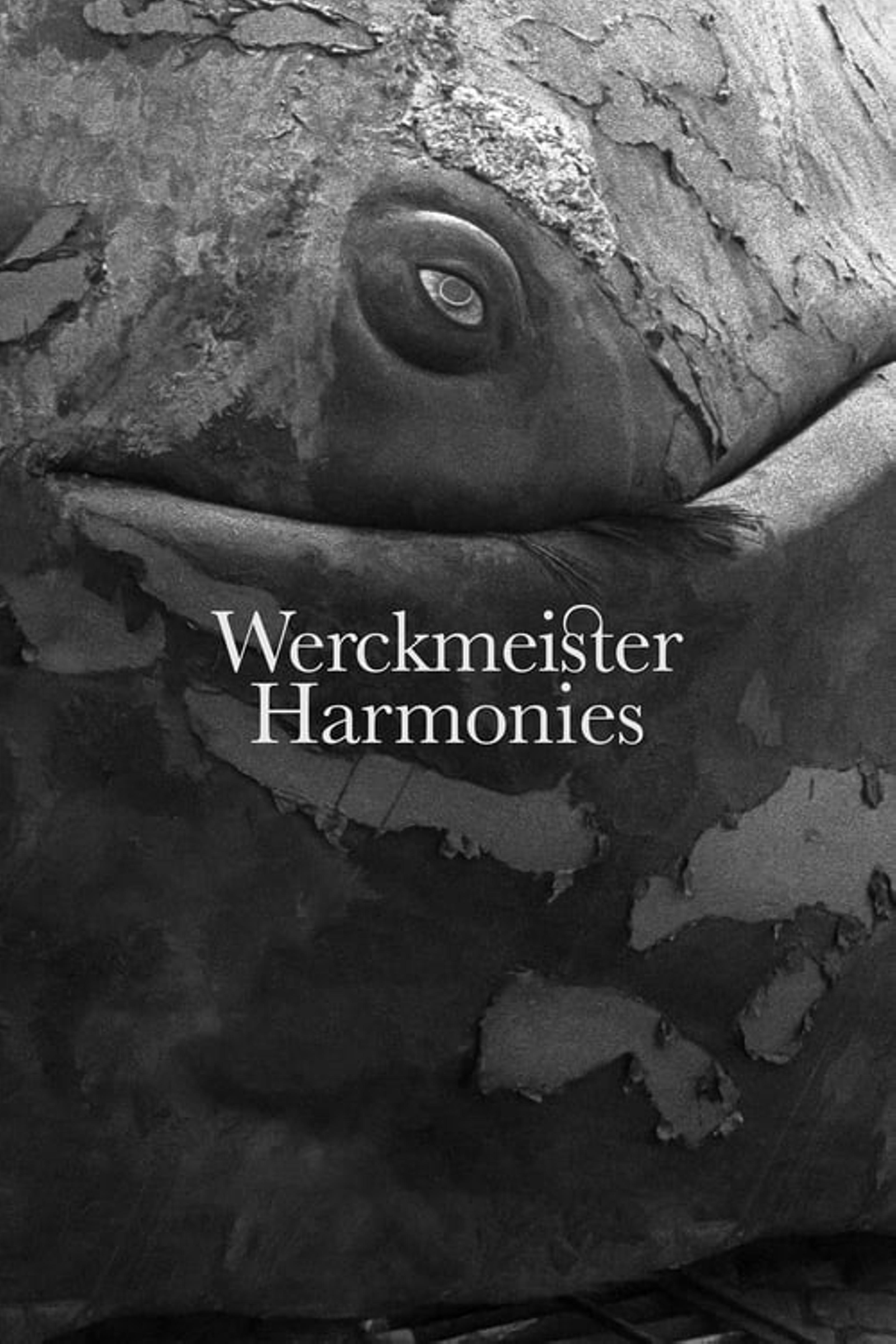 Werckmeister Harmonies