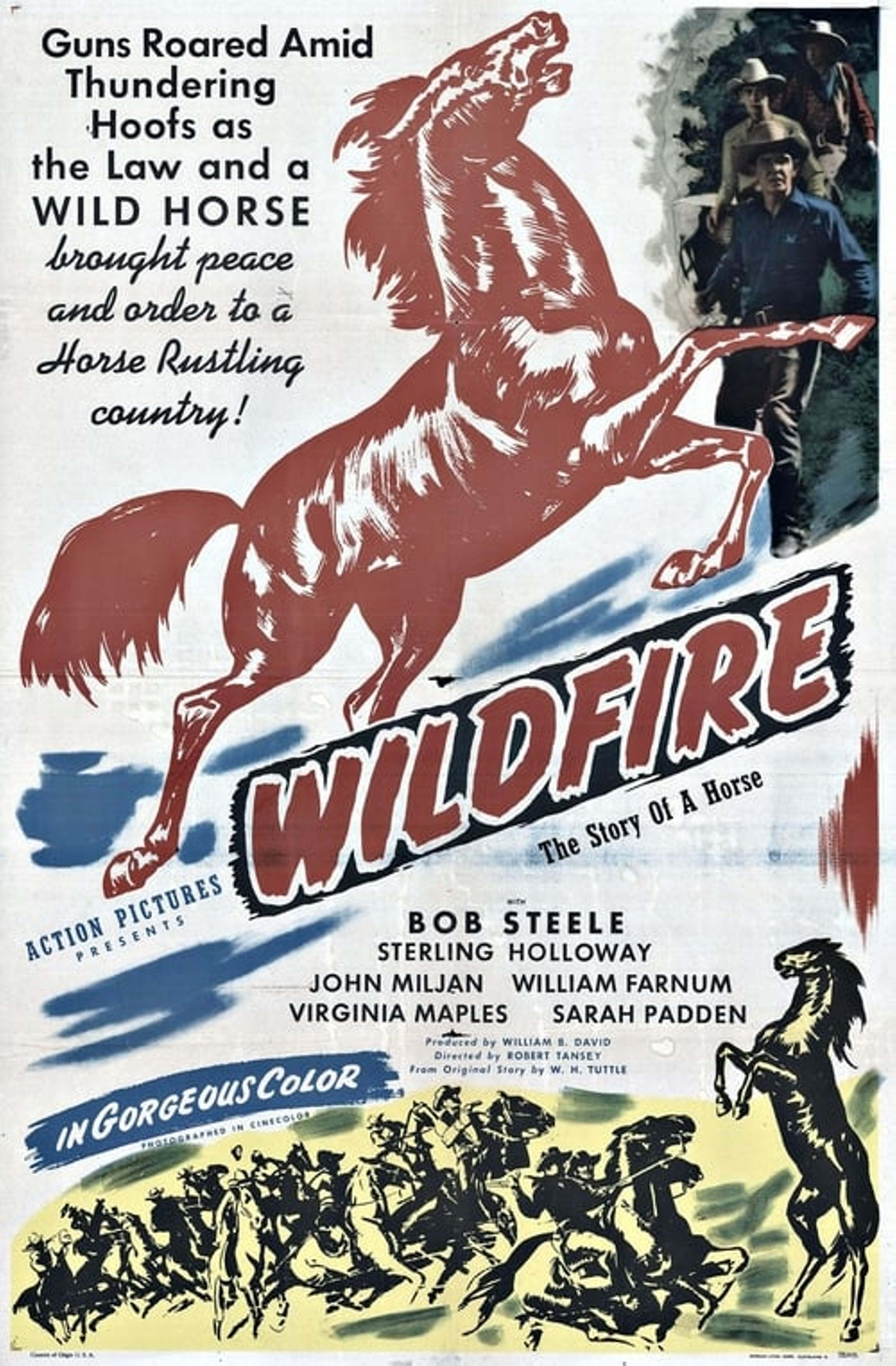 Wildfire