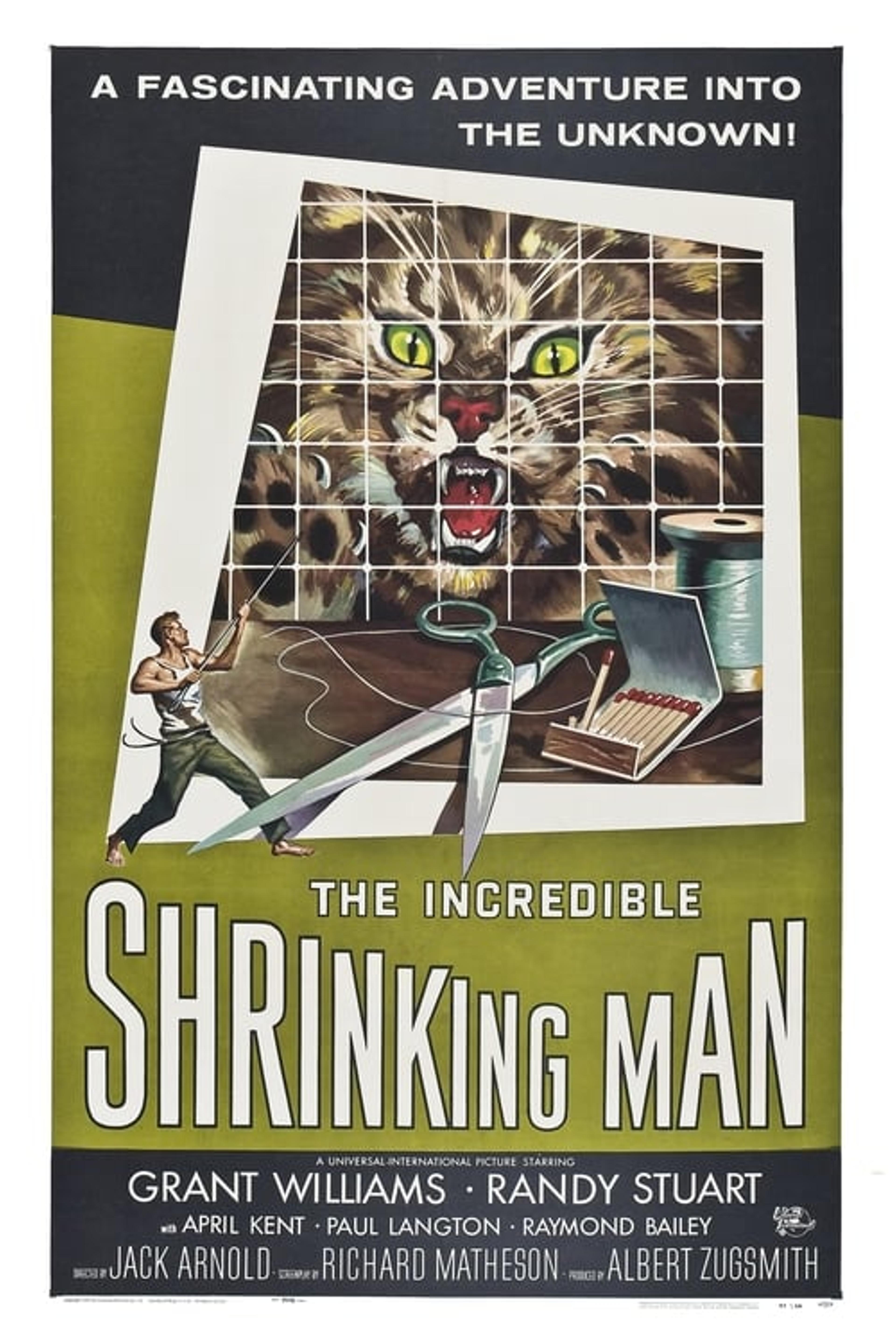 The Incredible Shrinking Man