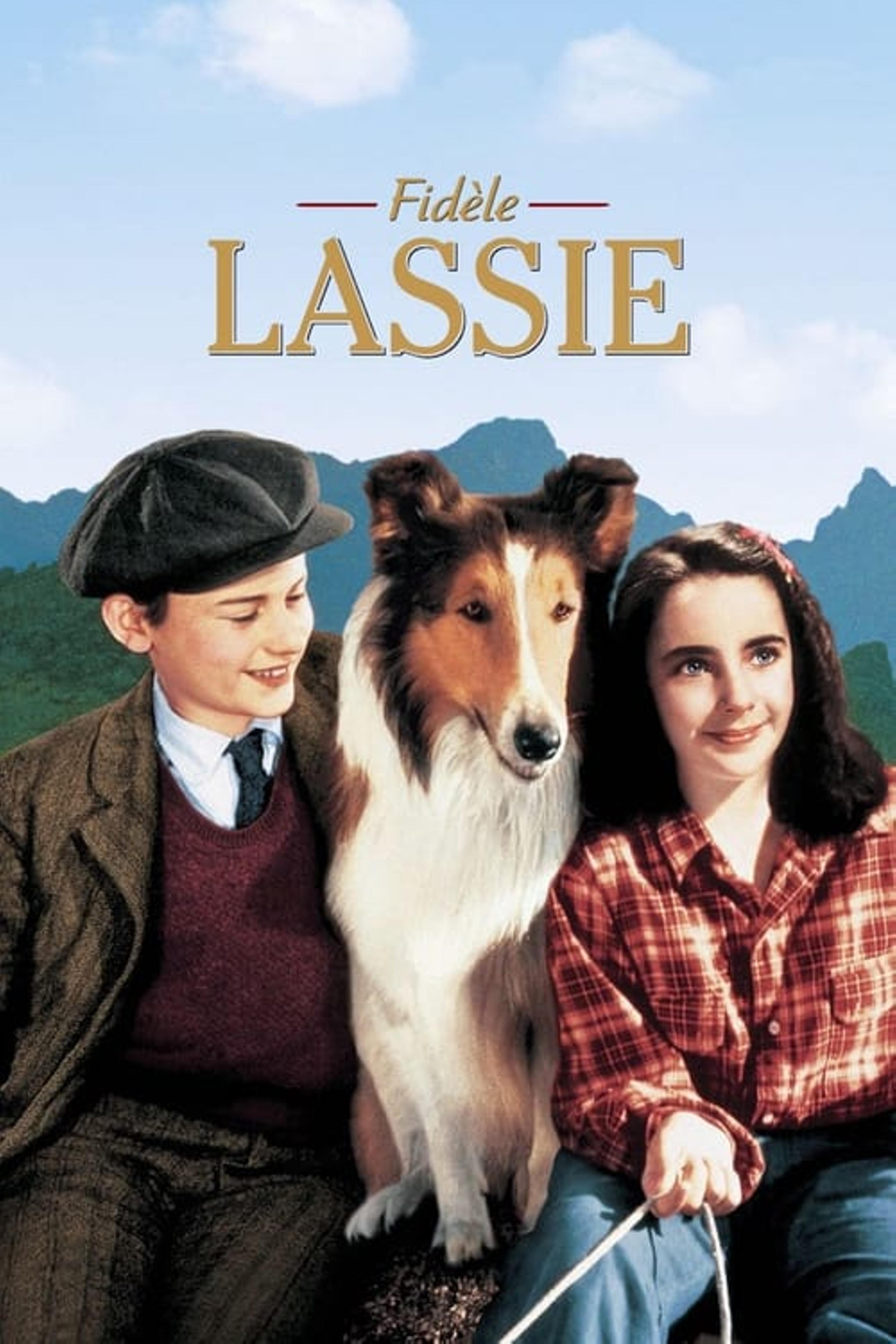 Fidèle Lassie