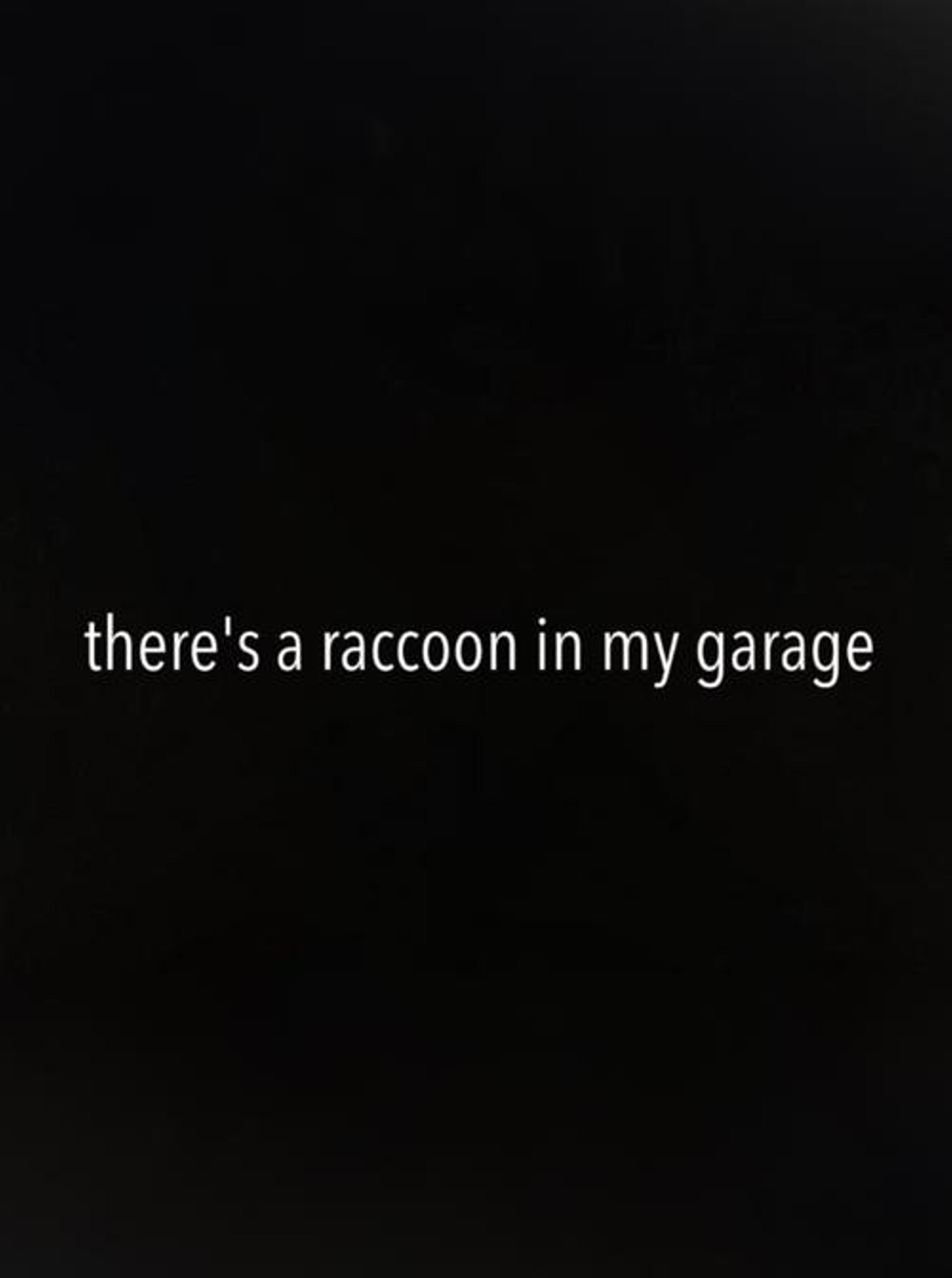 There's a Raccoon in My Garage