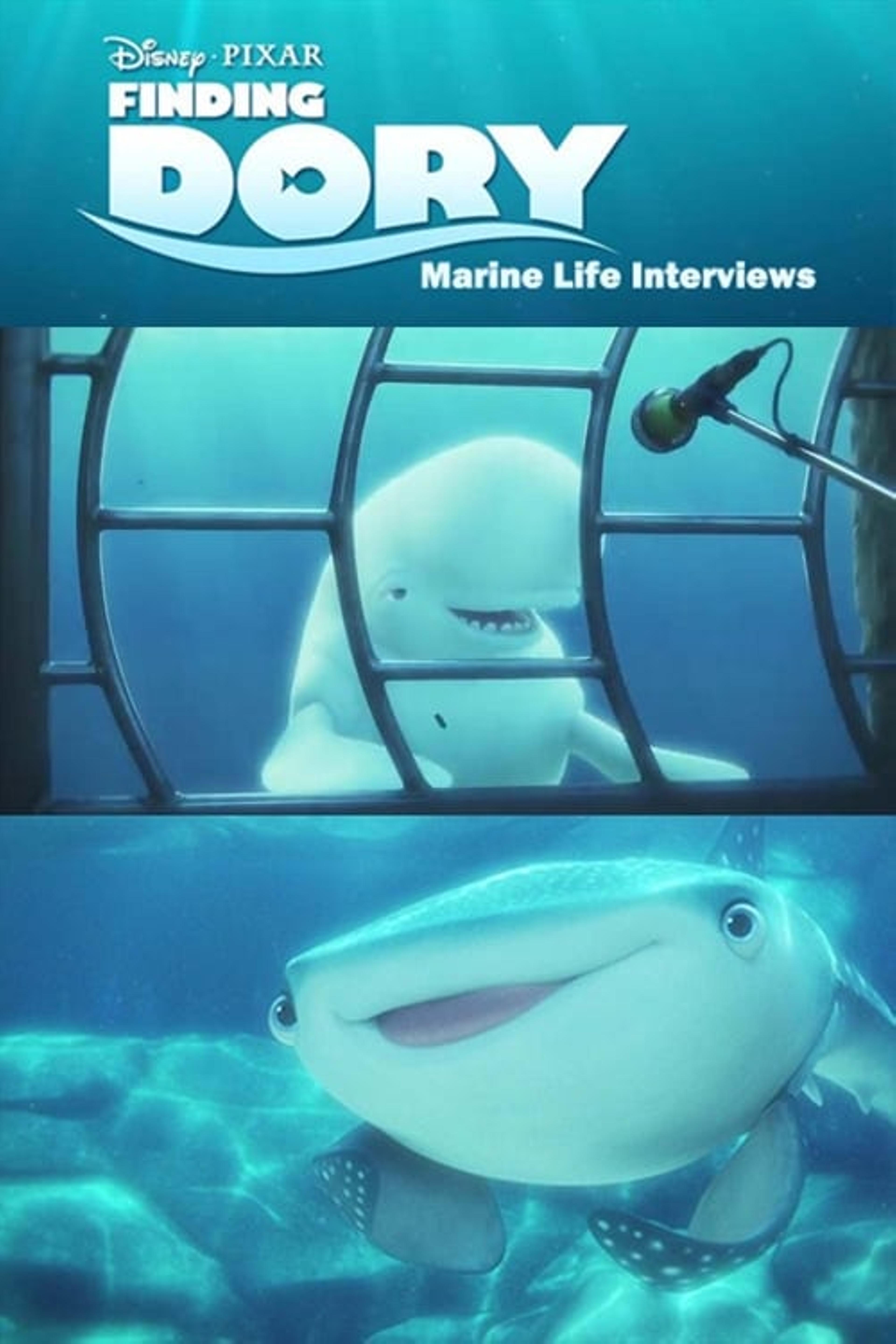 Marine Life Interviews