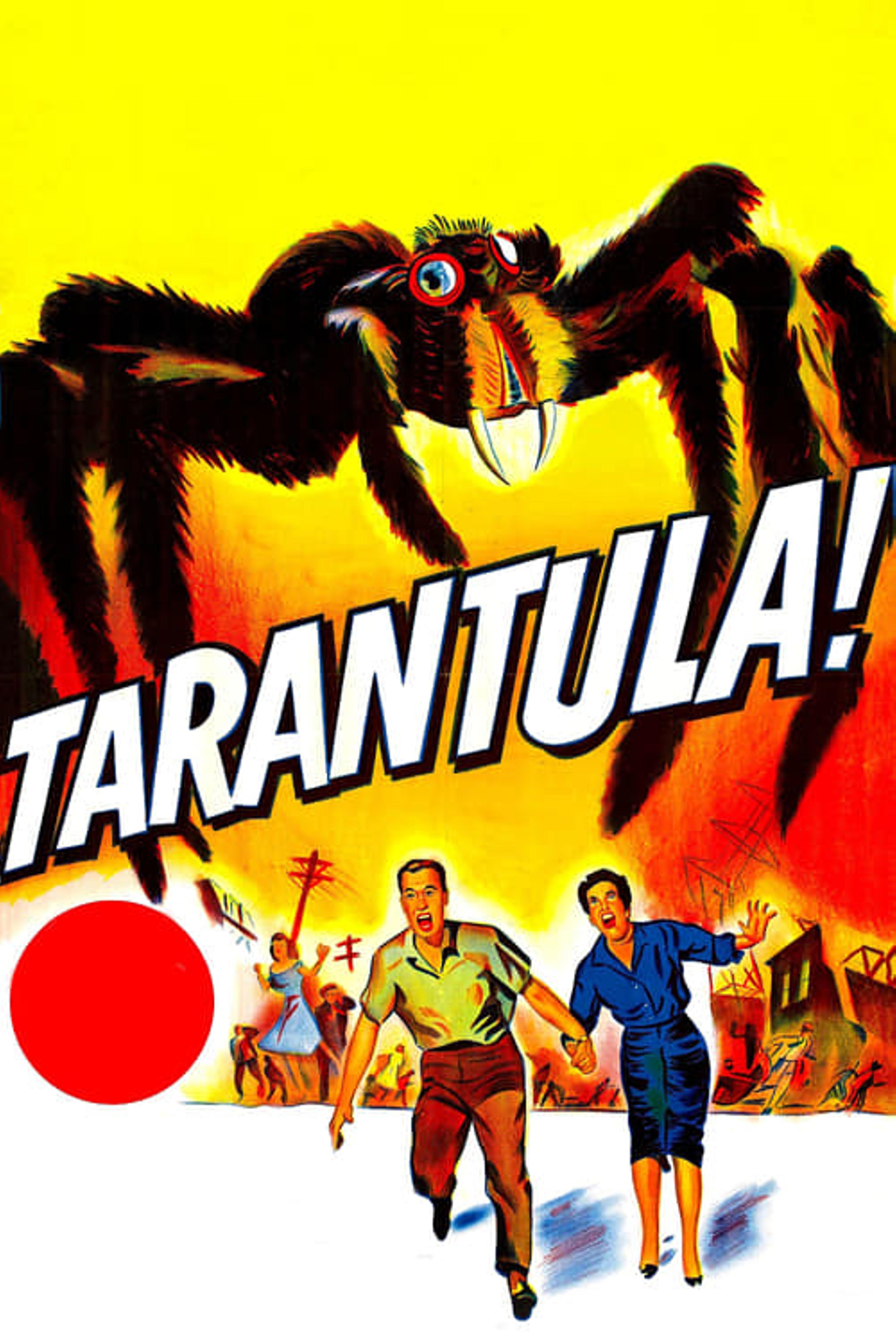 Tarantula !