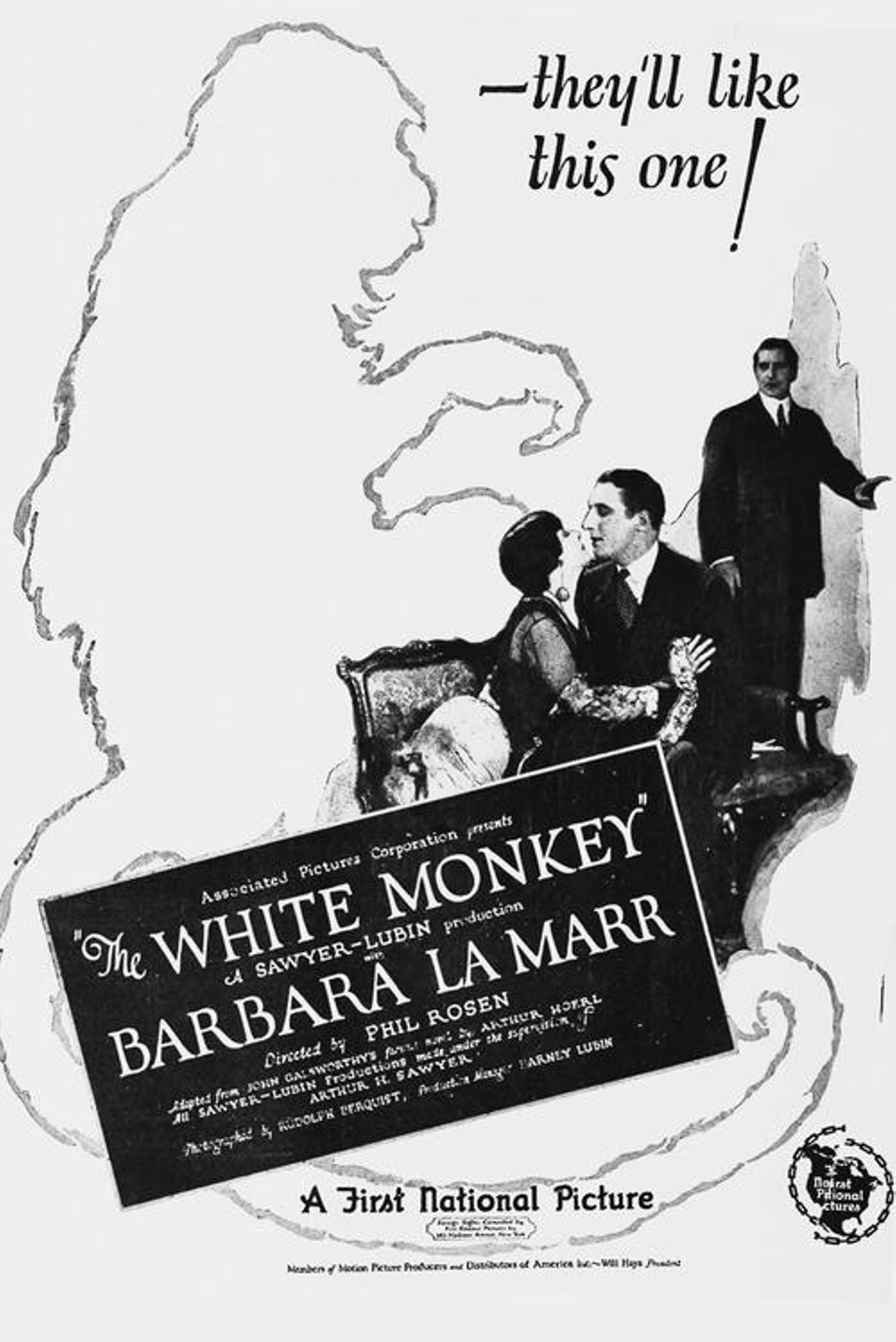 The White Monkey