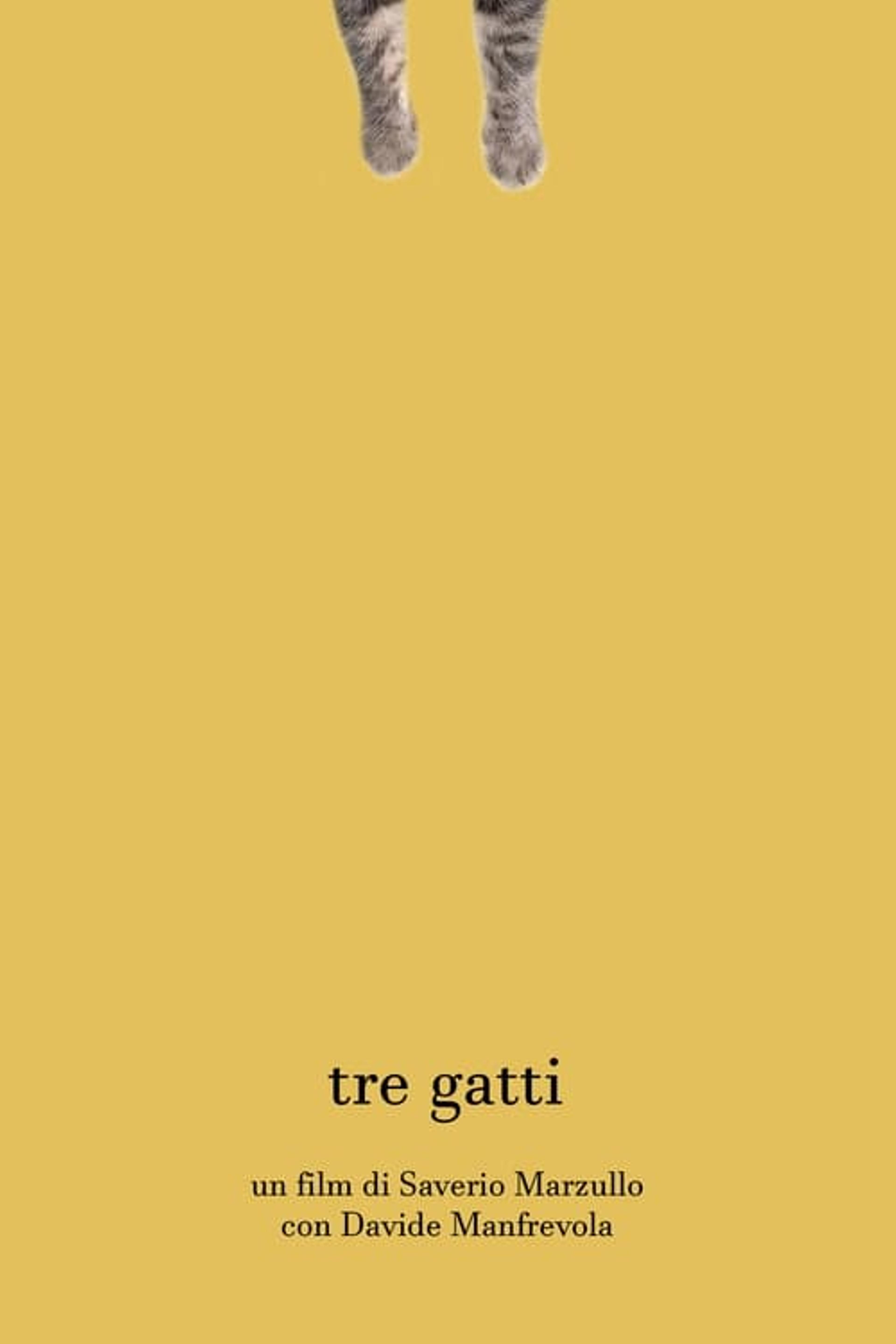 Tre gatti