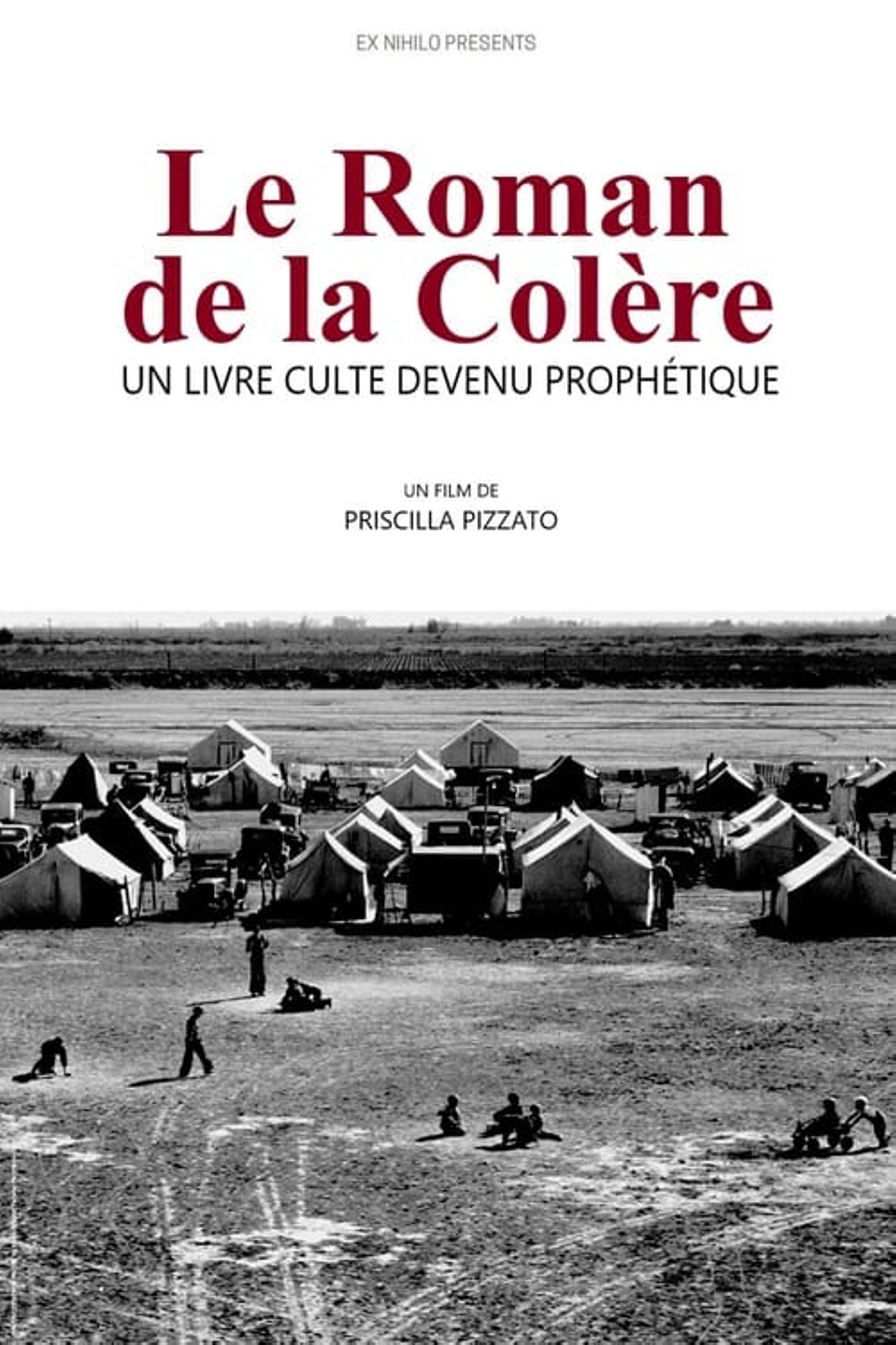 Le roman de la colère