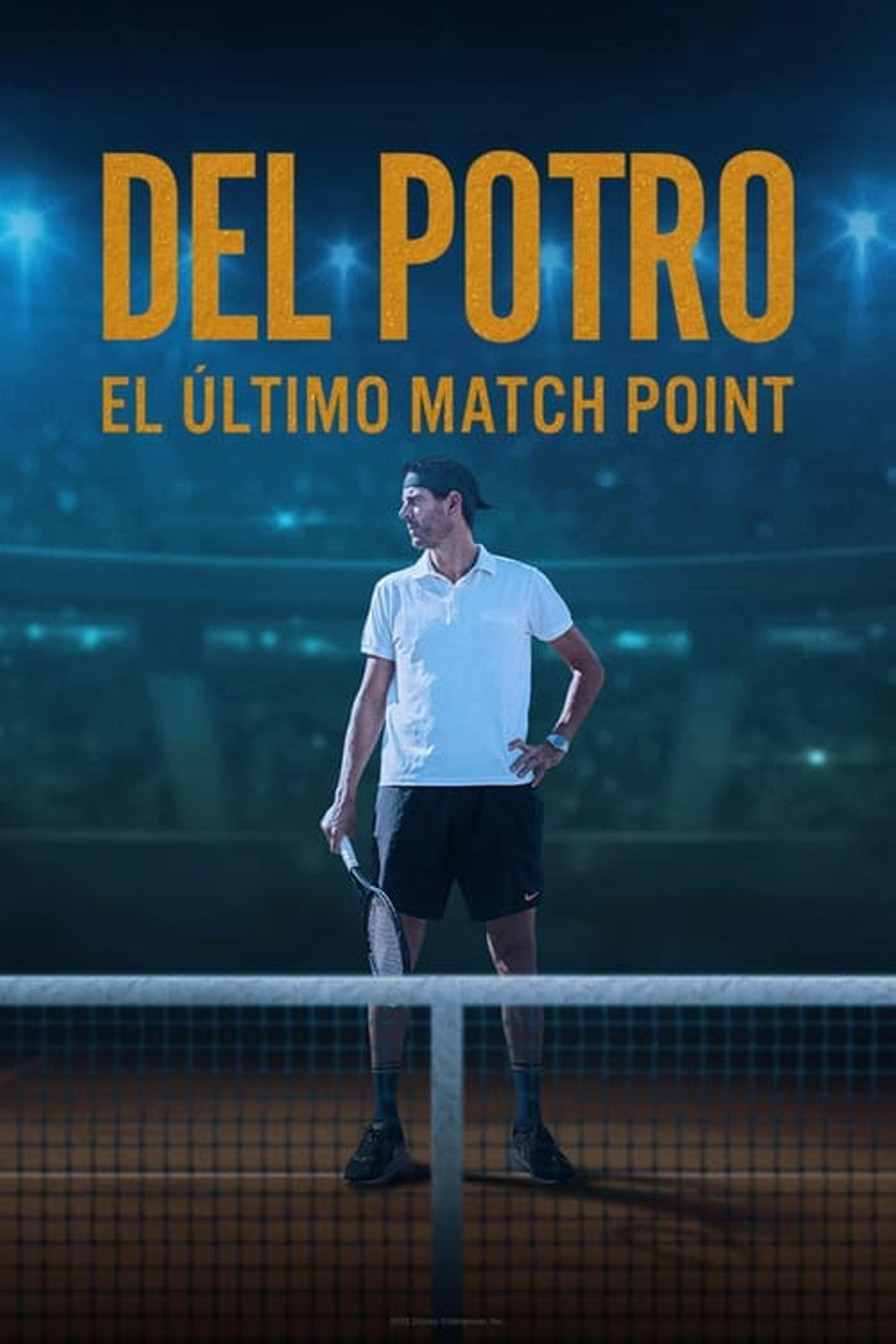 Del Potro, el último match point