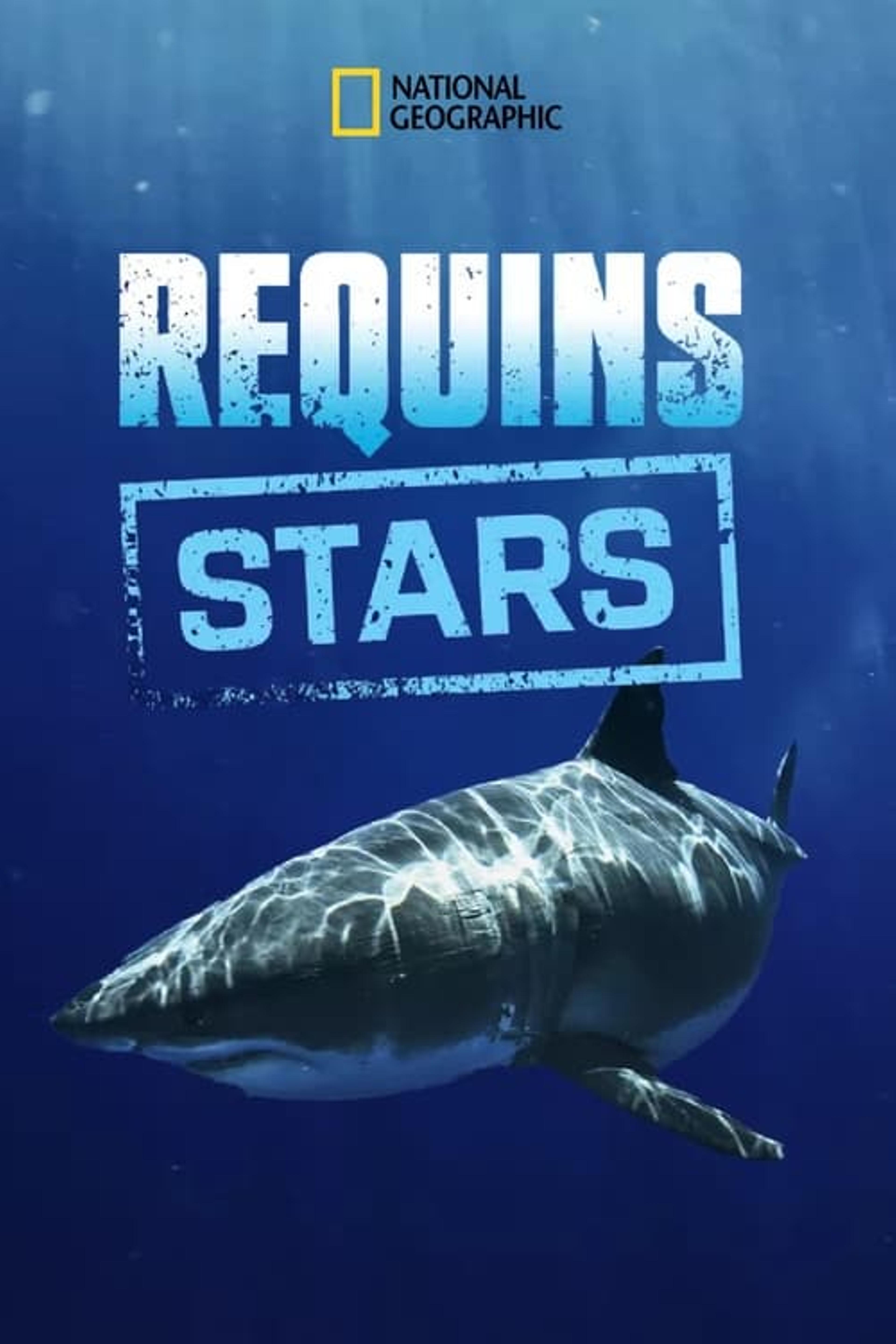 Requins stars