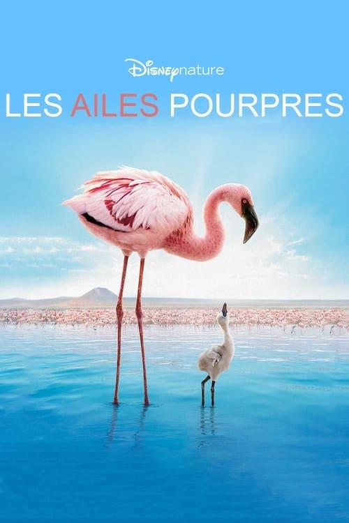 Les Ailes pourpres : Le Mystère des flamants