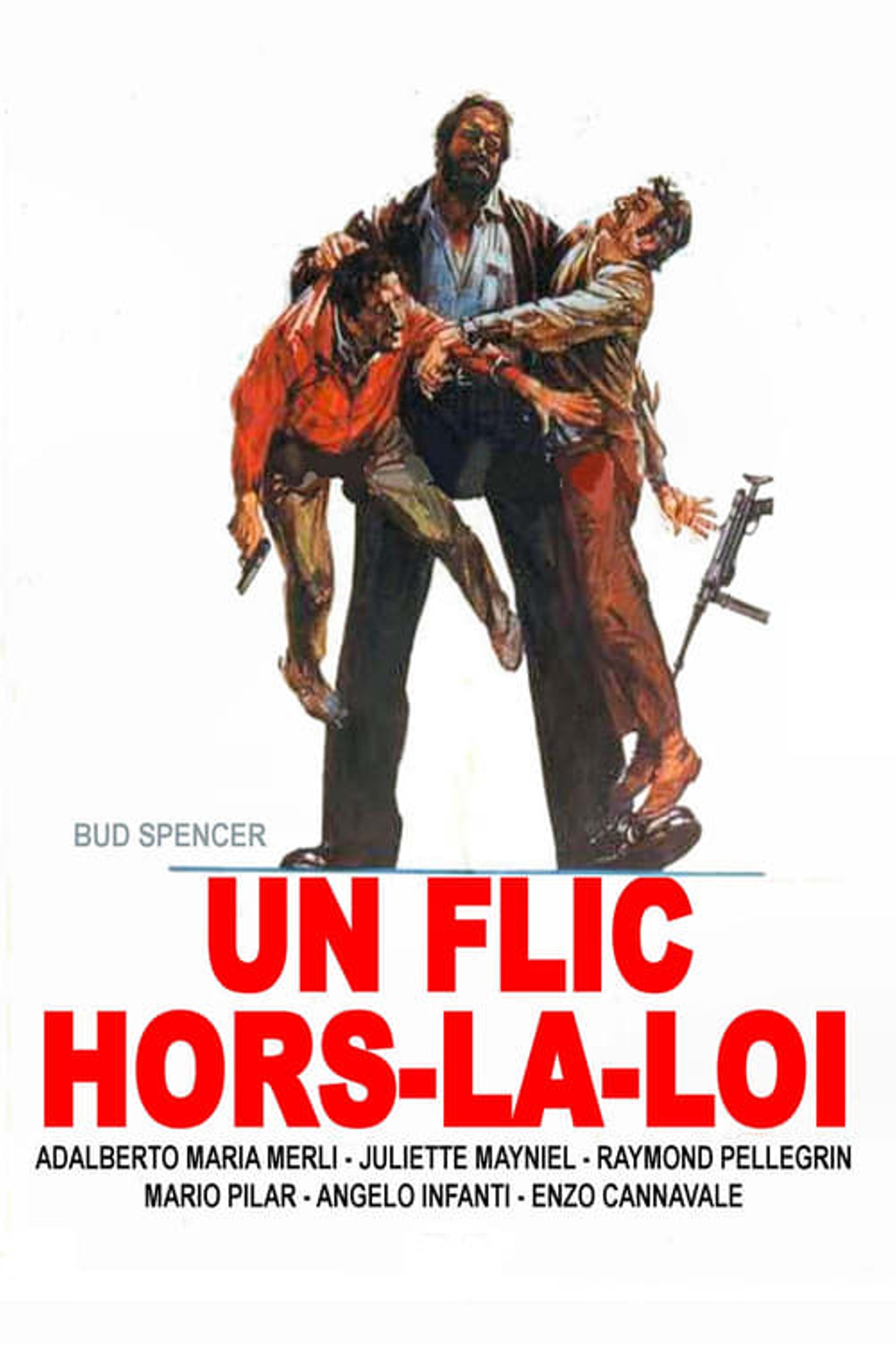 Un flic hors-la-loi