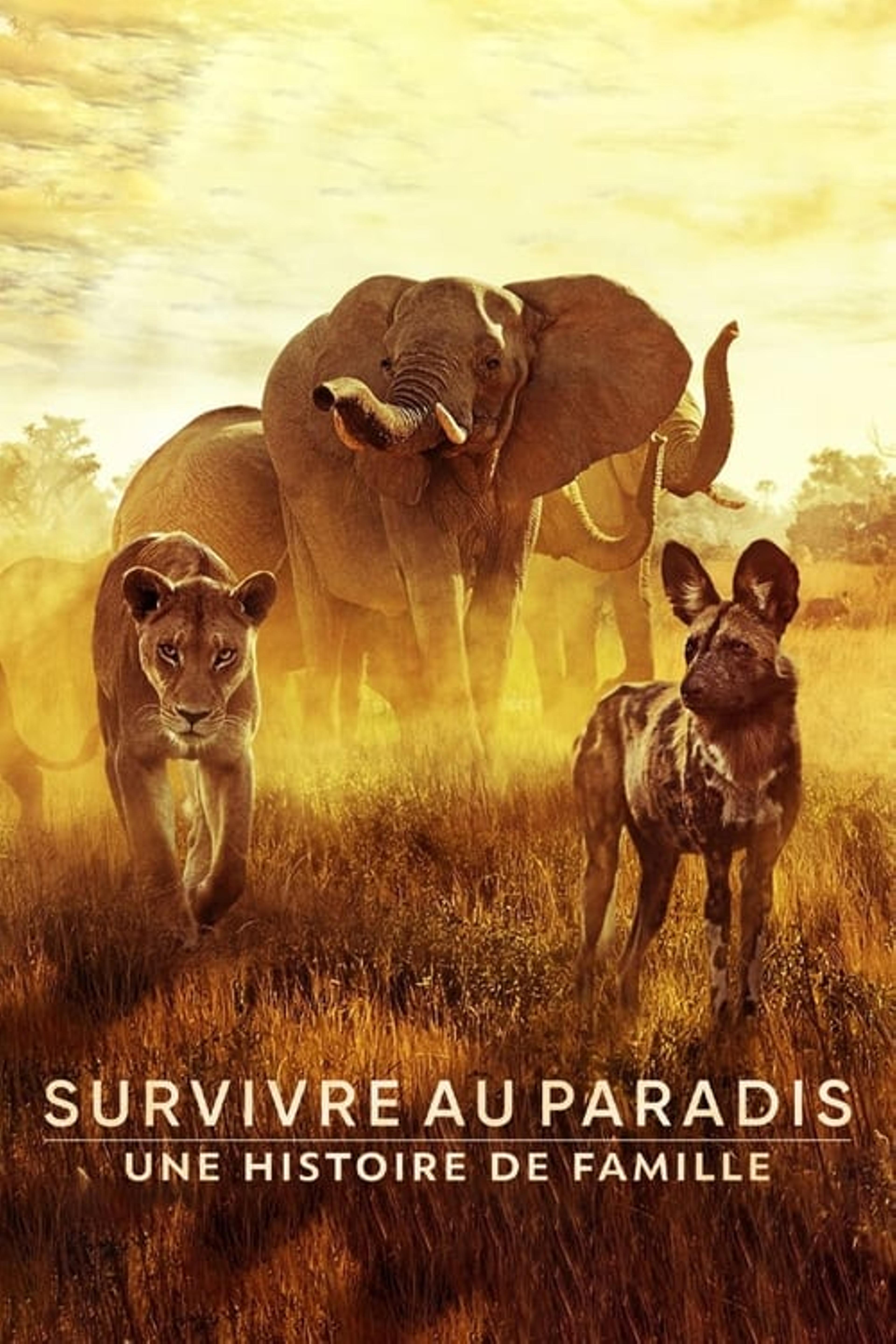 Survivre au paradis : Une histoire de famille