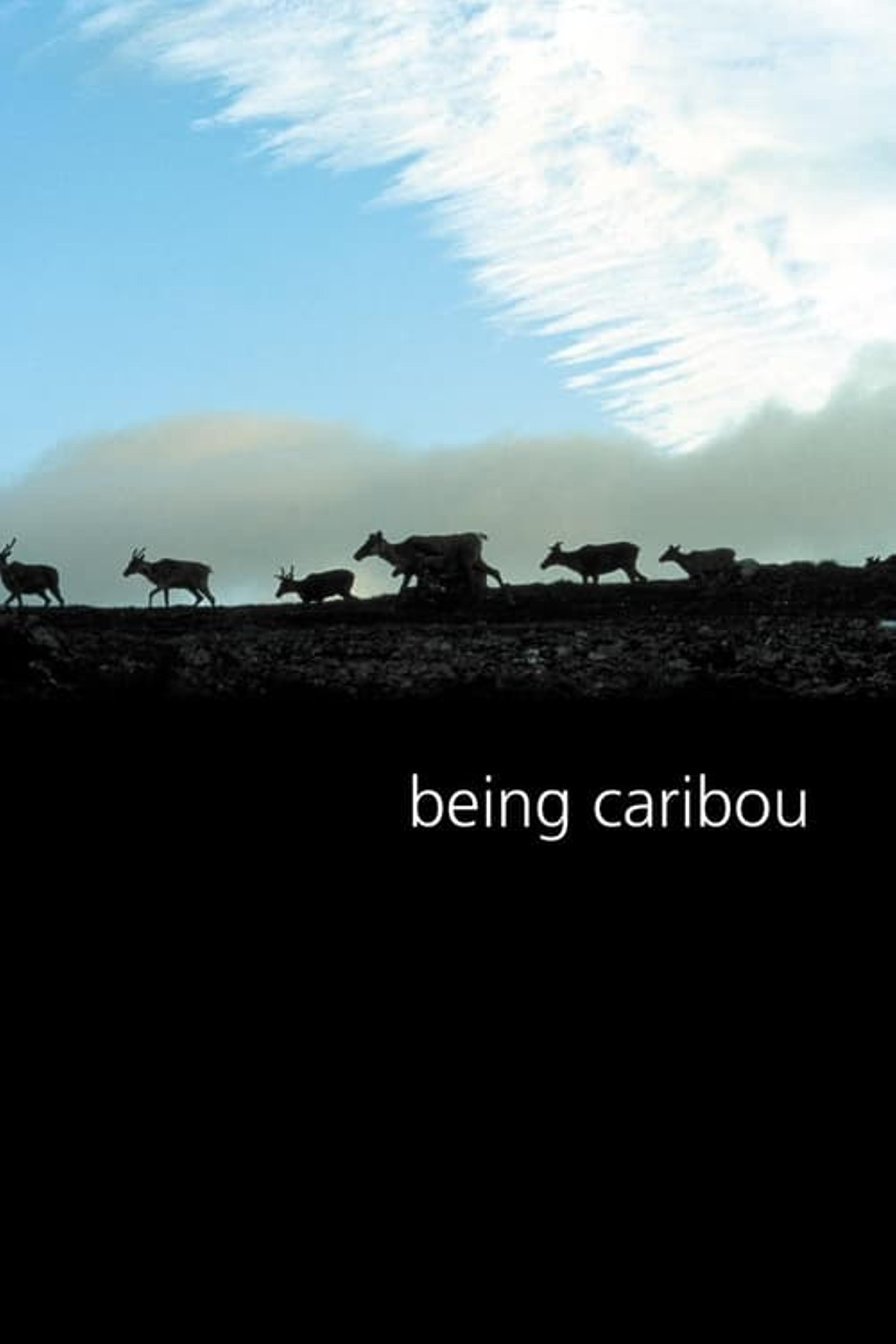 Being Caribou