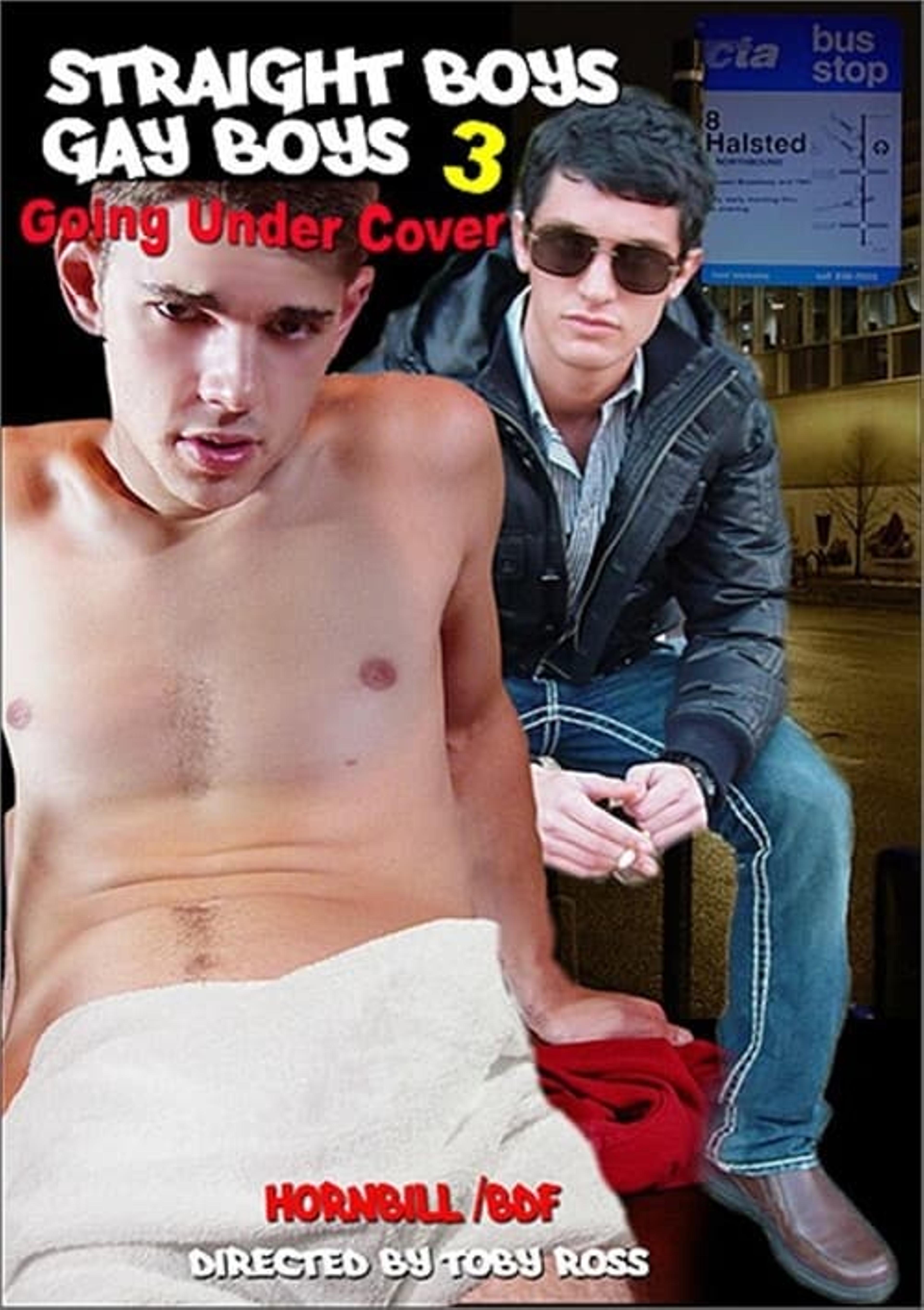 Straight Boys, Gay Boys 3: Going Under Cover