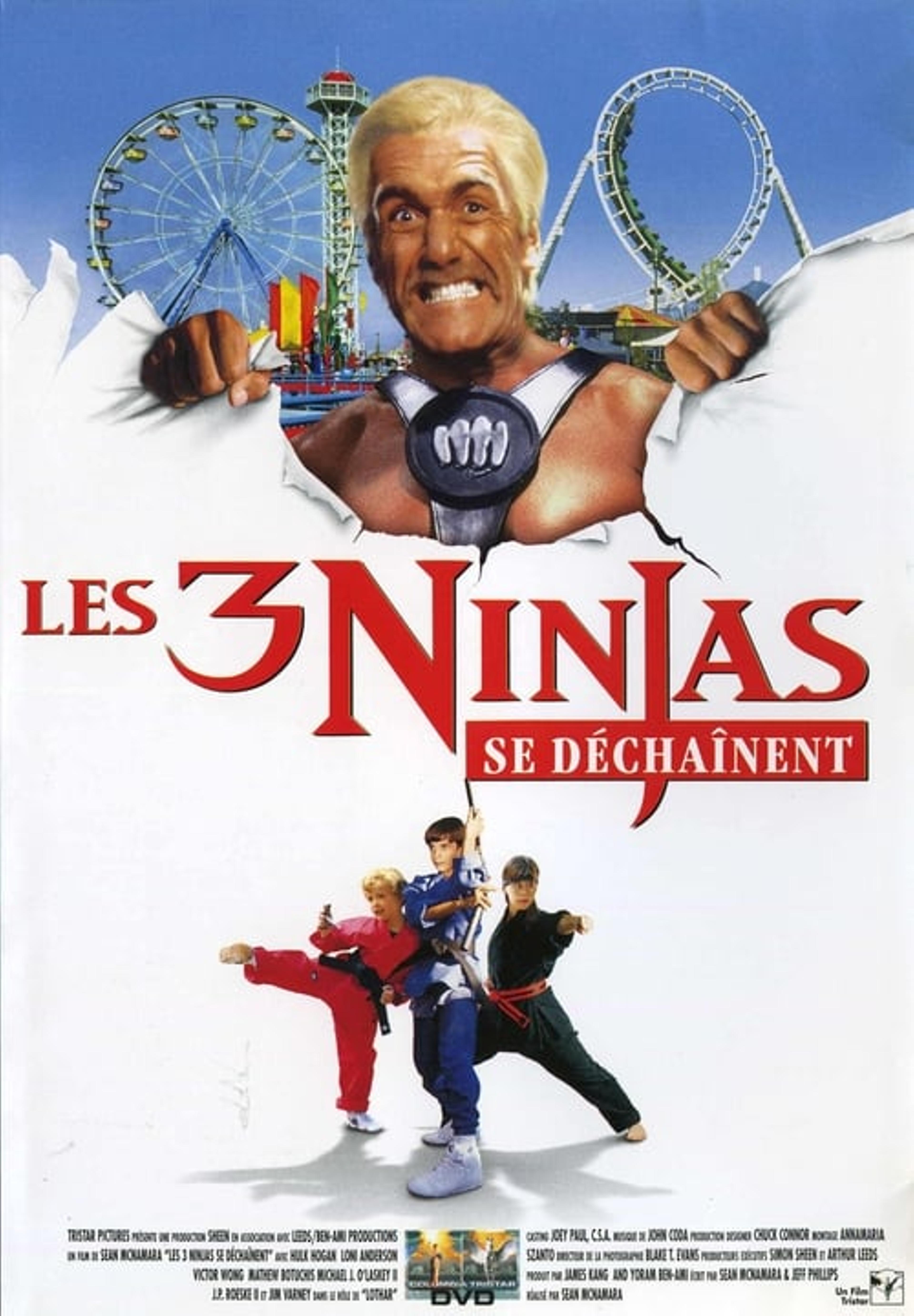 Ninja Kids 4 : Les 3 Ninjas se déchaînent