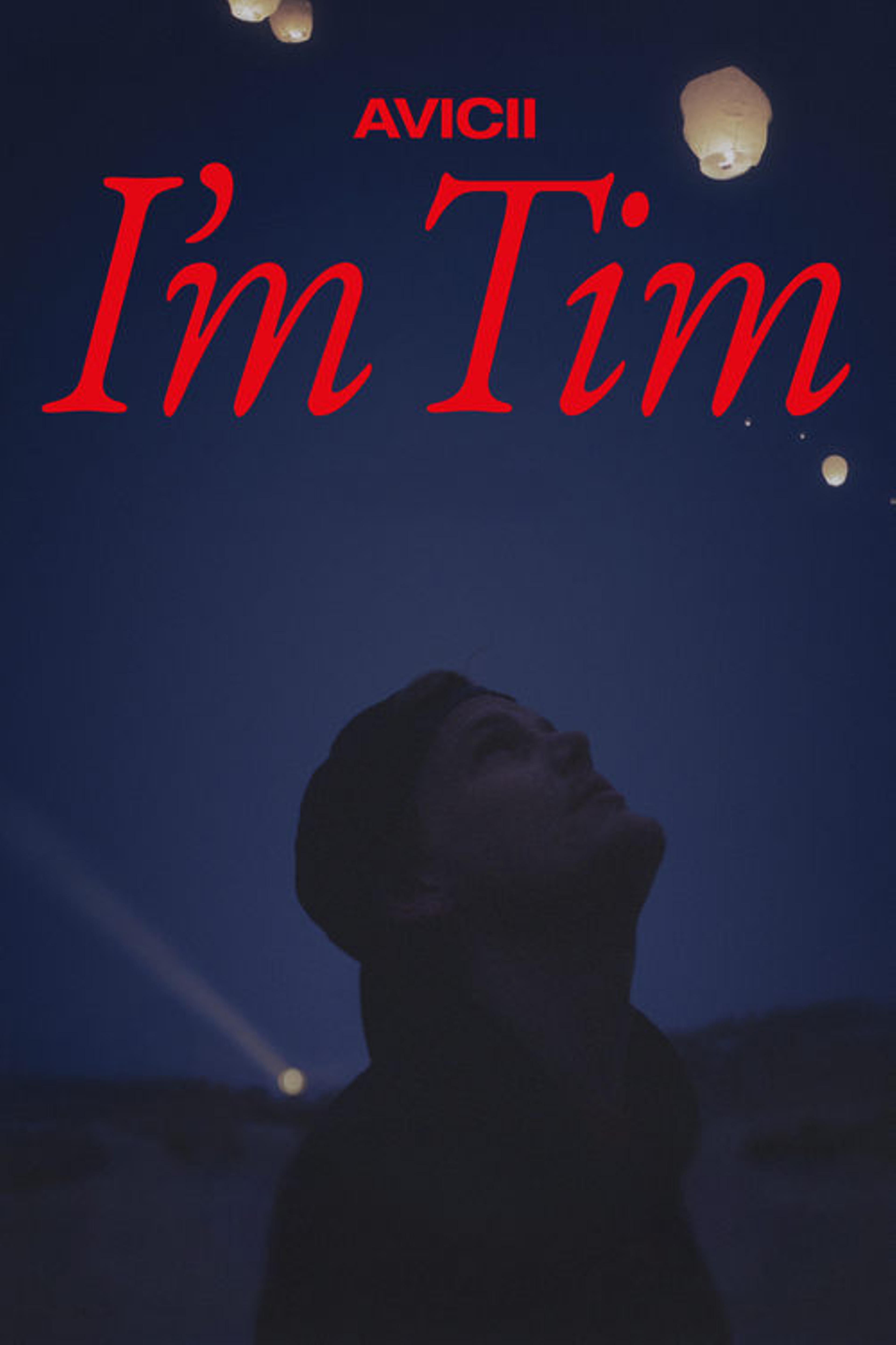 Avicii: I'm Tim