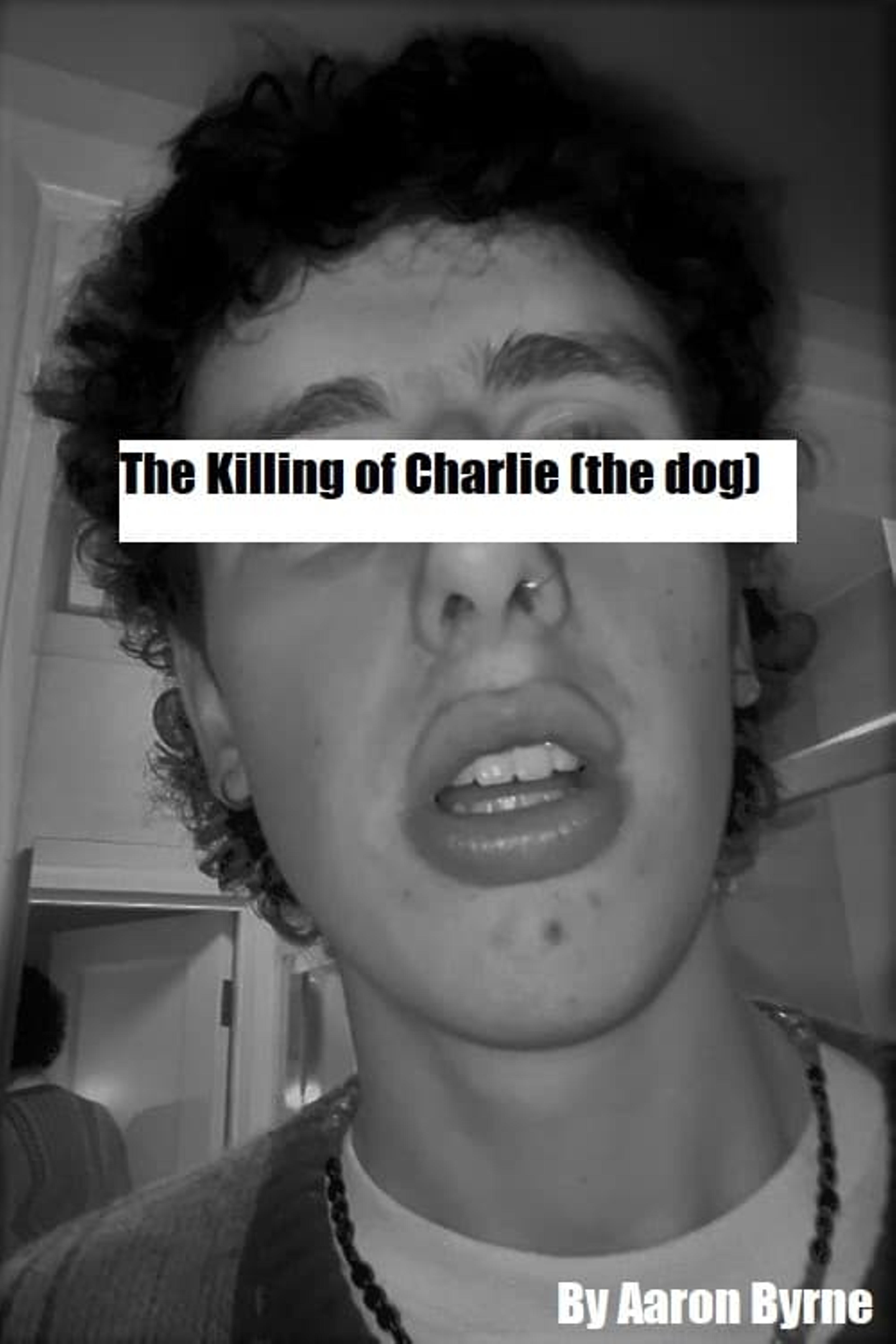 The Killing of Charlie (the dog)